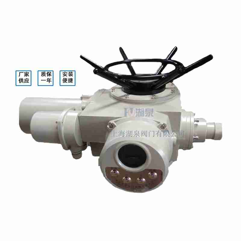 閥門電動裝置（dzw05,10,20，30,45,60，90,12