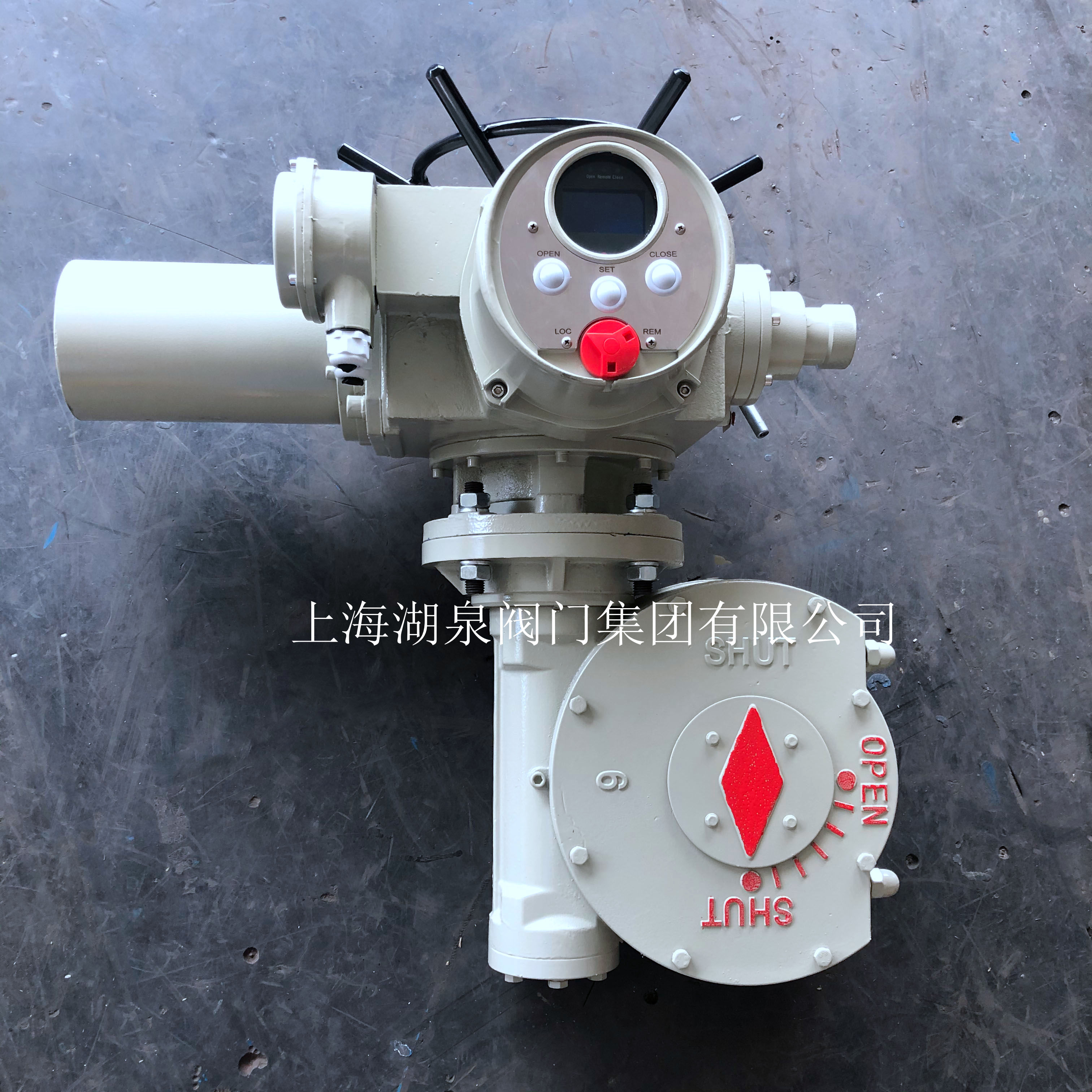 電動(dòng)閥門裝置